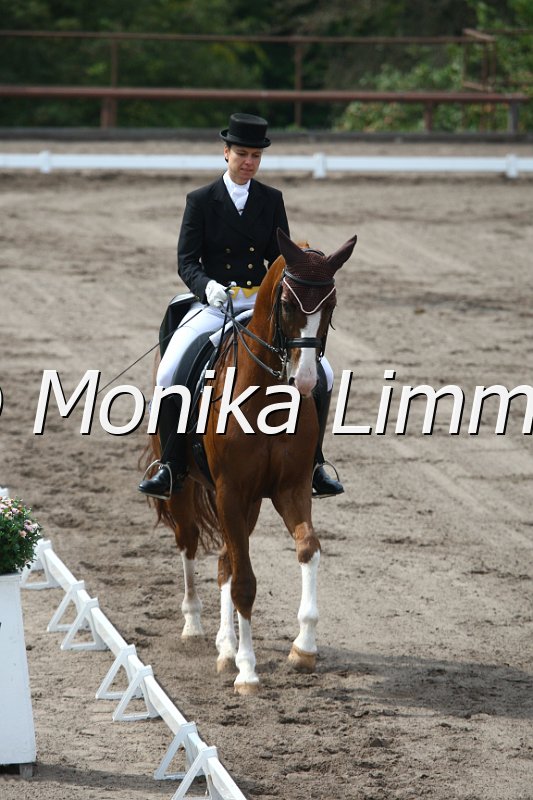 009M9734_Ducati_Dressur S_St. Georg.JPG